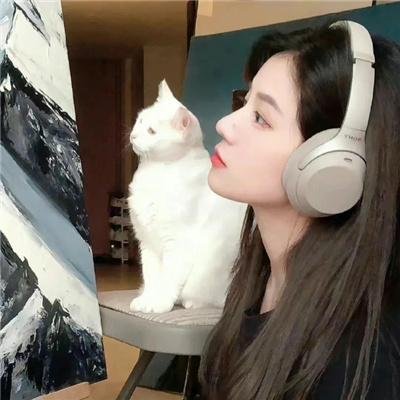 真情的代价